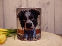 Border Collie Echt Jetzt?