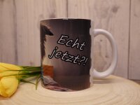 Border Collie Echt Jetzt?