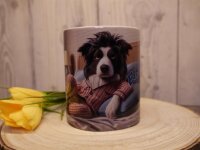 Border Collie Prinz