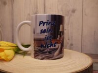 Border Collie Prinz