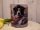 Border Collie Prinzessin