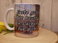 Schweizer Sennenhund Gute Tat